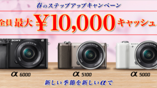 春のステップアップキャンペーン