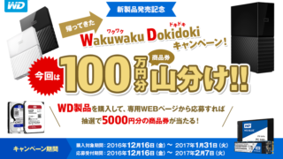 WakuwakuDokidokiキャンペーン